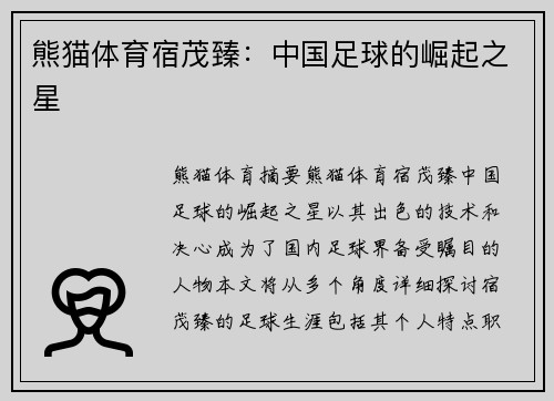 熊猫体育宿茂臻：中国足球的崛起之星