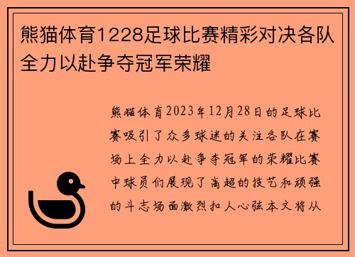 熊猫体育1228足球比赛精彩对决各队全力以赴争夺冠军荣耀