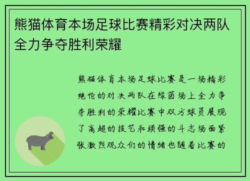 熊猫体育本场足球比赛精彩对决两队全力争夺胜利荣耀