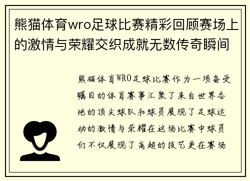 熊猫体育wro足球比赛精彩回顾赛场上的激情与荣耀交织成就无数传奇瞬间