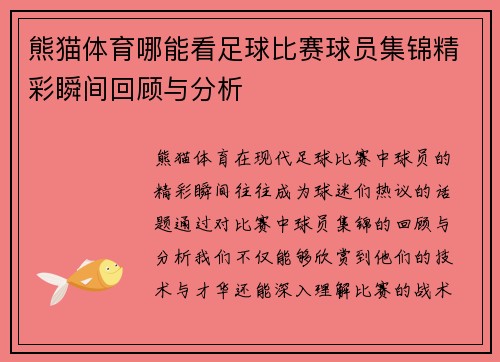 熊猫体育哪能看足球比赛球员集锦精彩瞬间回顾与分析